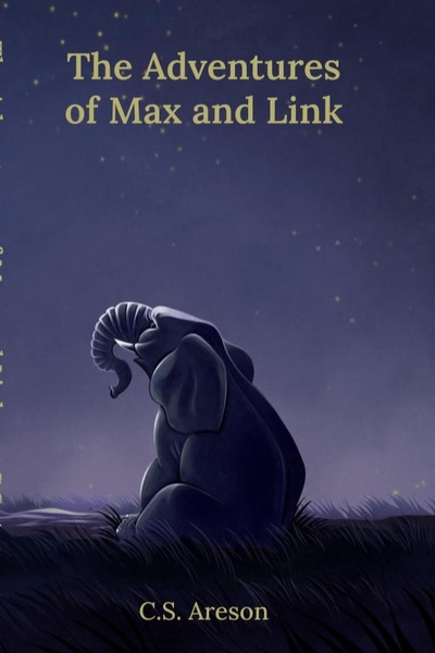 The Adventures of Max and Link