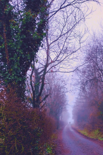 Morrigan: Gays Into the Abyss [Story Completed]